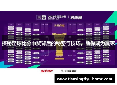 探秘足球比分中奖背后的秘密与技巧，助你成为赢家
