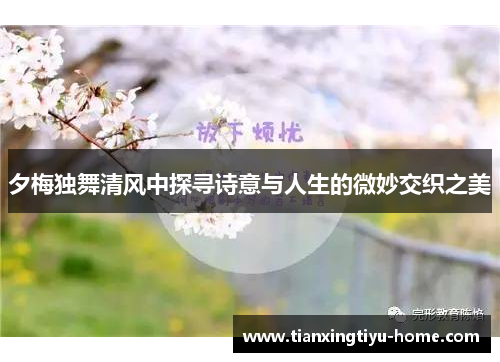 夕梅独舞清风中探寻诗意与人生的微妙交织之美