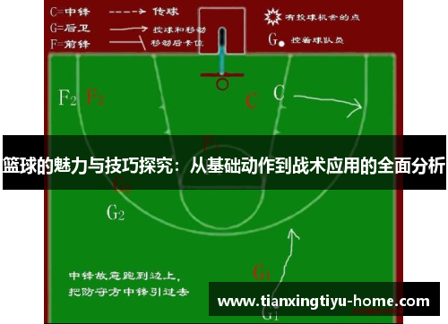 篮球的魅力与技巧探究：从基础动作到战术应用的全面分析