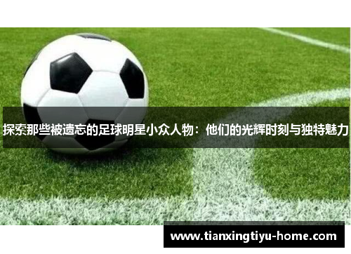 探索那些被遗忘的足球明星小众人物：他们的光辉时刻与独特魅力