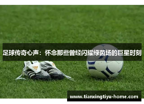 足球传奇心声：怀念那些曾经闪耀绿茵场的巨星时刻
