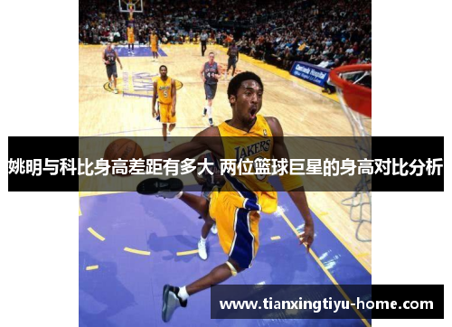 姚明与科比身高差距有多大 两位篮球巨星的身高对比分析