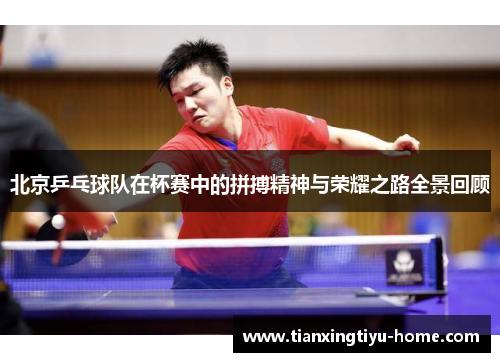 北京乒乓球队在杯赛中的拼搏精神与荣耀之路全景回顾