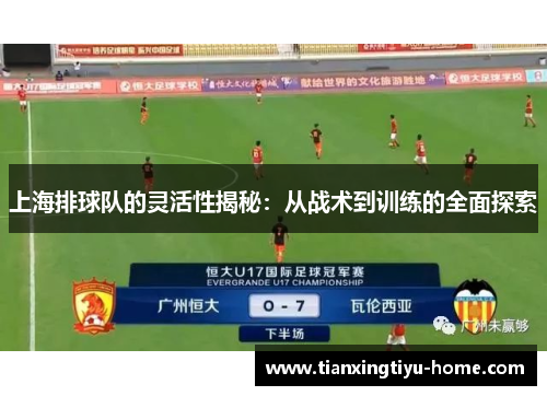 上海排球队的灵活性揭秘：从战术到训练的全面探索